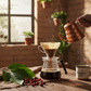Honduras coffee beans roasted medium-dark with caramel, spice, and brown sugar notes from Marcala, La Paz